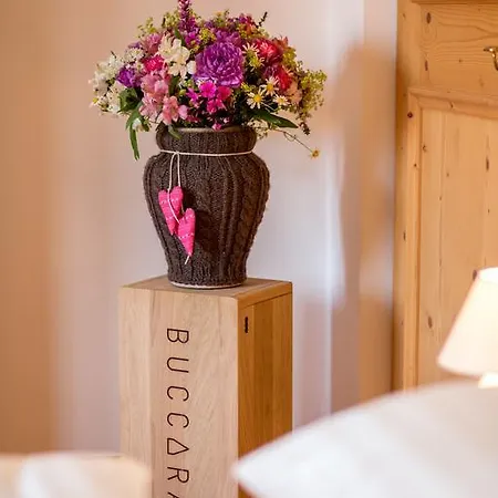 Buccara Lejlighed Kitzbühel