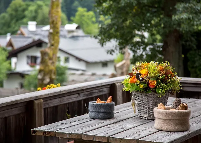 Buccara * 키츠부헬